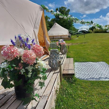 Hopgarden Glamping - Luxury 6M Bell Tent Wadhurst Zewnętrze zdjęcie