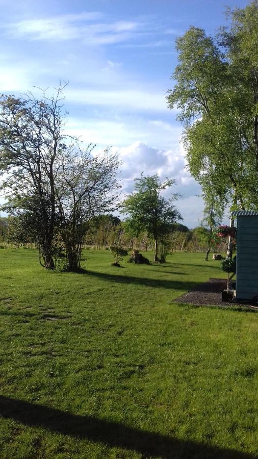 Hopgarden Glamping - Luxury 6M Bell Tent Wadhurst Zewnętrze zdjęcie