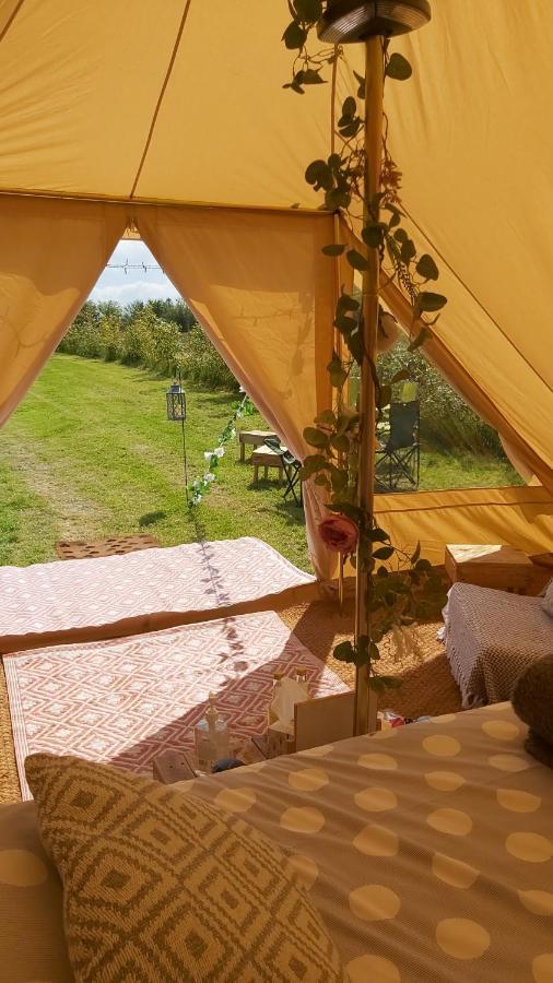 Hopgarden Glamping - Luxury 6M Bell Tent Wadhurst Zewnętrze zdjęcie