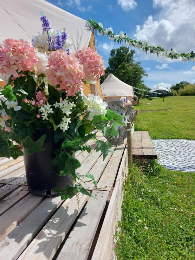 Hopgarden Glamping - Luxury 6M Bell Tent Wadhurst Zewnętrze zdjęcie