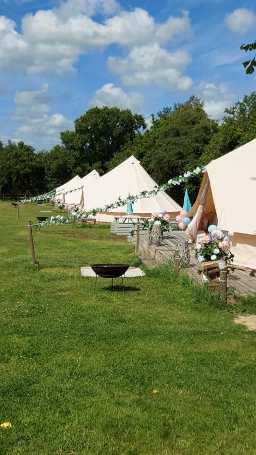 Hopgarden Glamping - Luxury 6M Bell Tent Wadhurst Zewnętrze zdjęcie