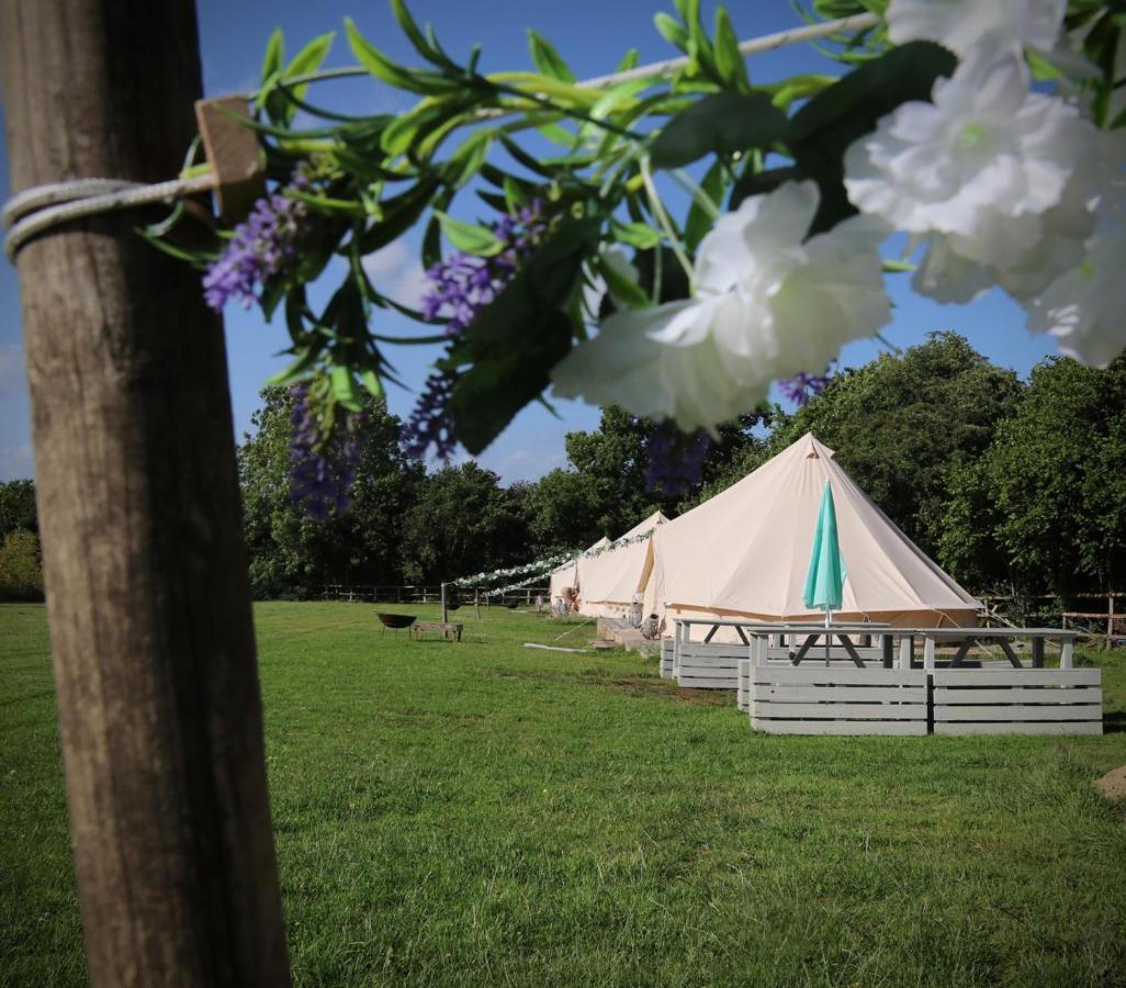 Hopgarden Glamping - Luxury 6M Bell Tent Wadhurst Zewnętrze zdjęcie